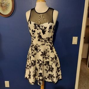 Skater dress. Creme and black.